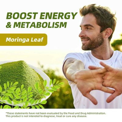 Catfit Moringa Powder - Superfood Blend with Matcha, Green Tea Resveratrol - Moringa Supplement for Energy, Antioxidant Immune Support - Vegan, Gluten Free, Easy-to-Mix Drink (5.64 oz)