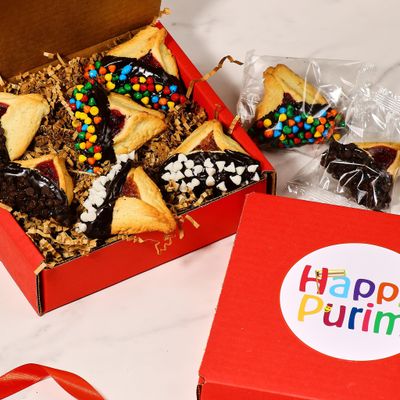 Hamentaschen Cookies Assortment Chocolate Dipped Shortbread Cookies with Raspberry Apricot Filling Mishloach Manos Purim Gift Stern s Bakery