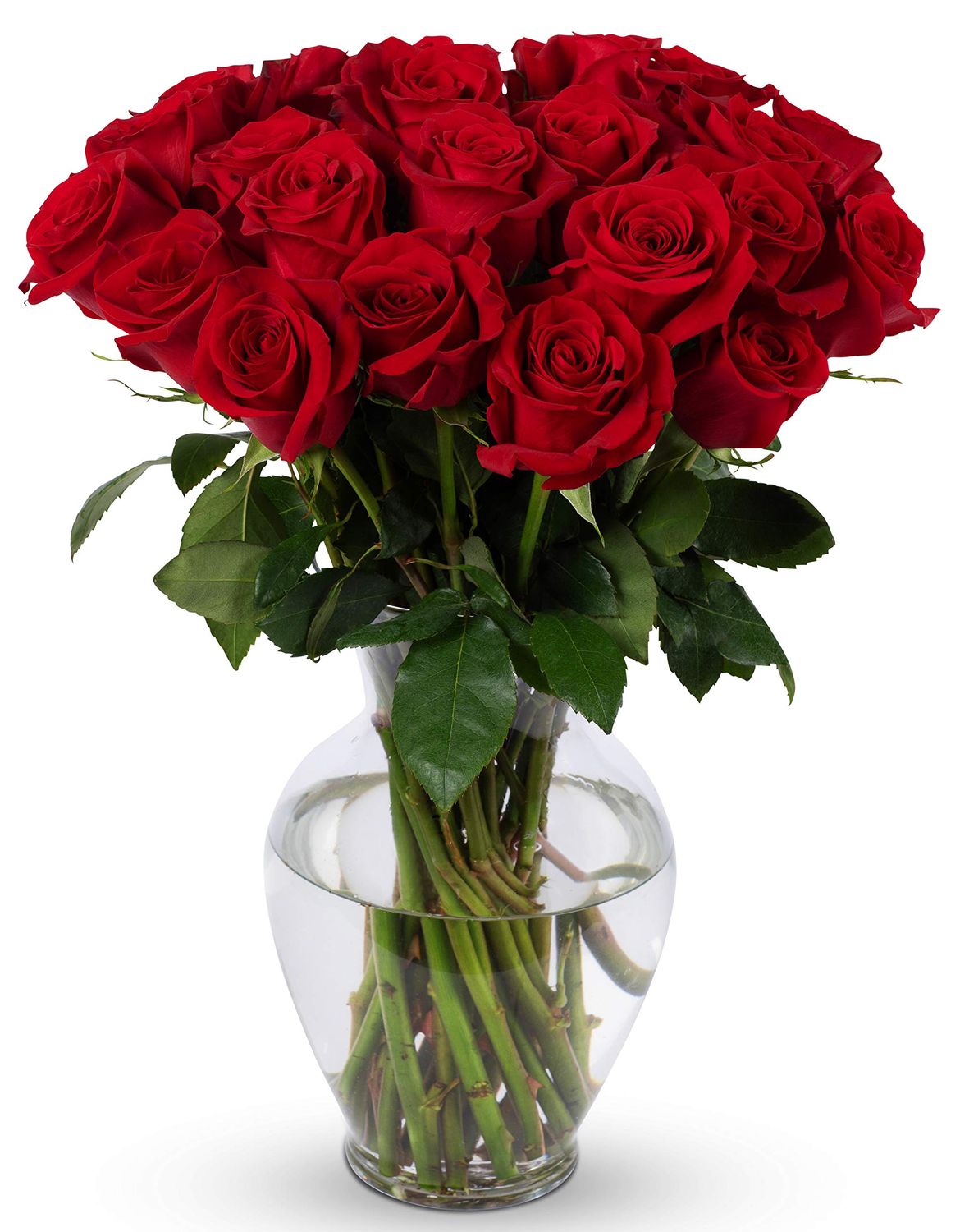 Benchmark Bouquets - 24 Stem Premium Red Roses (Glass Vase Included) - Fresh Flowers for Delivery - Gift for Graduation, Birthday, Anniversary, Sympathy, Get Well, Congratulations
