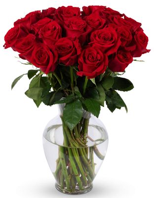 Benchmark Bouquets - 24 Stem Premium Red Roses (Glass Vase Included) - Fresh Flowers for Delivery - Gift for Graduation, Birthday, Anniversary, Sympathy, Get Well, Congratulations
