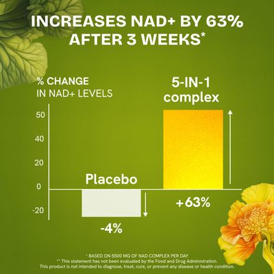 NMN Supplement Alternative - High Absorption NAD, Resveratrol, Berberine, Quercetin, Noni - Liposomal NAD Supplement for Anti Aging, Brain Support, Gut Heath - 60 Capsules (2)