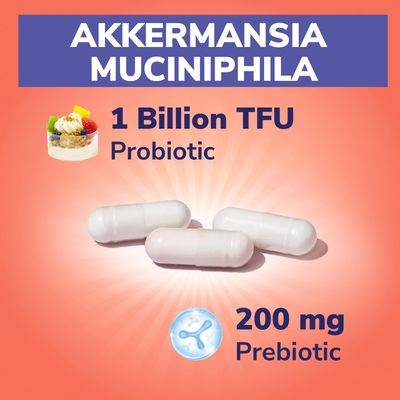 Vitalibre Akkermansia Muciniphila Probiotic 1 Billion TFU, wNatural Prebiotic Inulin, Naturally Increases GLP-1, Healthy Digestion Metabolism, Probiotic Supplement for Women Men, 30 Capsules