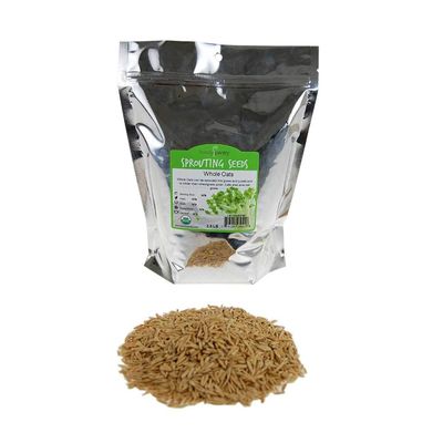 2 Lb Organic Non-GMO Whole Oat Grain Seeds (With Husk Intact) - Oats Seed Grains, for Sprouting, Oat Grass, Animal Feed, Storage More