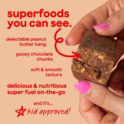 The Bomb Co. Blender Bomb Bar, Peanut Butter Cookie Dough, Superfood Snack Bar for Gut Health, Peanut Butter, Hemp Seeds, Chia Seeds, Flax Seeds, Sea Salt, Aloe Vera, Vegan Chocolate Chips, 9 Bars