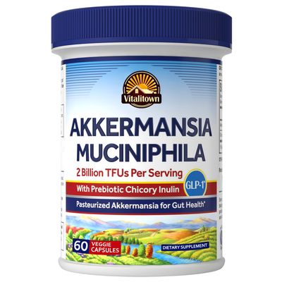 Vitalitown Akkermansia Probiotic GLP-1 with Chicory Inulin 2 Billion TFU Akkermansia Muciniphila Probiotics for Men Women Gut Health Digestion Non-GMO 60 Veg Caps