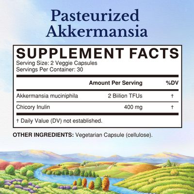 Vitalitown Akkermansia Probiotic GLP-1 with Chicory Inulin 2 Billion TFU Akkermansia Muciniphila Probiotics for Men Women Gut Health Digestion Non-GMO 60 Veg Caps