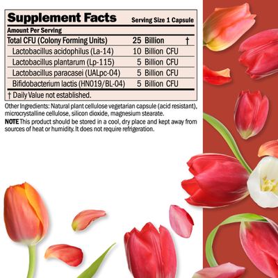 ANDREW LESSMAN Ultimate Friendly Flora Probiotic 120 Capsules - 25 Billion CFU, Comprehensive Blend of Five Probiotic Strains, Powerful Immune and Digestive Support. Probiotics for Women or Men