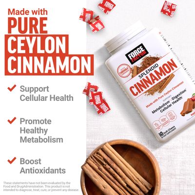 FORCE FACTOR Splendid Cinnamon, Ceylon Cinnamon with Chromax Chromium for Metabolism Antioxidant Support, Apple Cinnamon, 60 Soft Chews