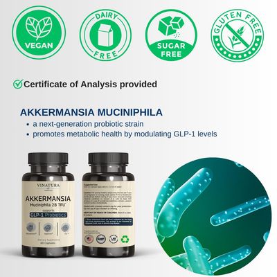 VINATURA Akkermansia Probiotic - Akkermansia Munciniphila Supplement, GLP-1 Supplement - 60 Capsules