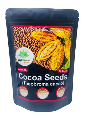 Organic Cocoa Seeds, Cacao Seeds, Theobroma cacao 50 Seeds Pack