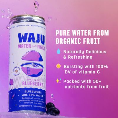 WAJU Organic Sparkling Blueberry Water, No Added Sugar, Immune Support with 100 DV Vitamin C, Antioxidant Nutrients, Environmentally Friendly Sourcing - 12 pack (12 oz)