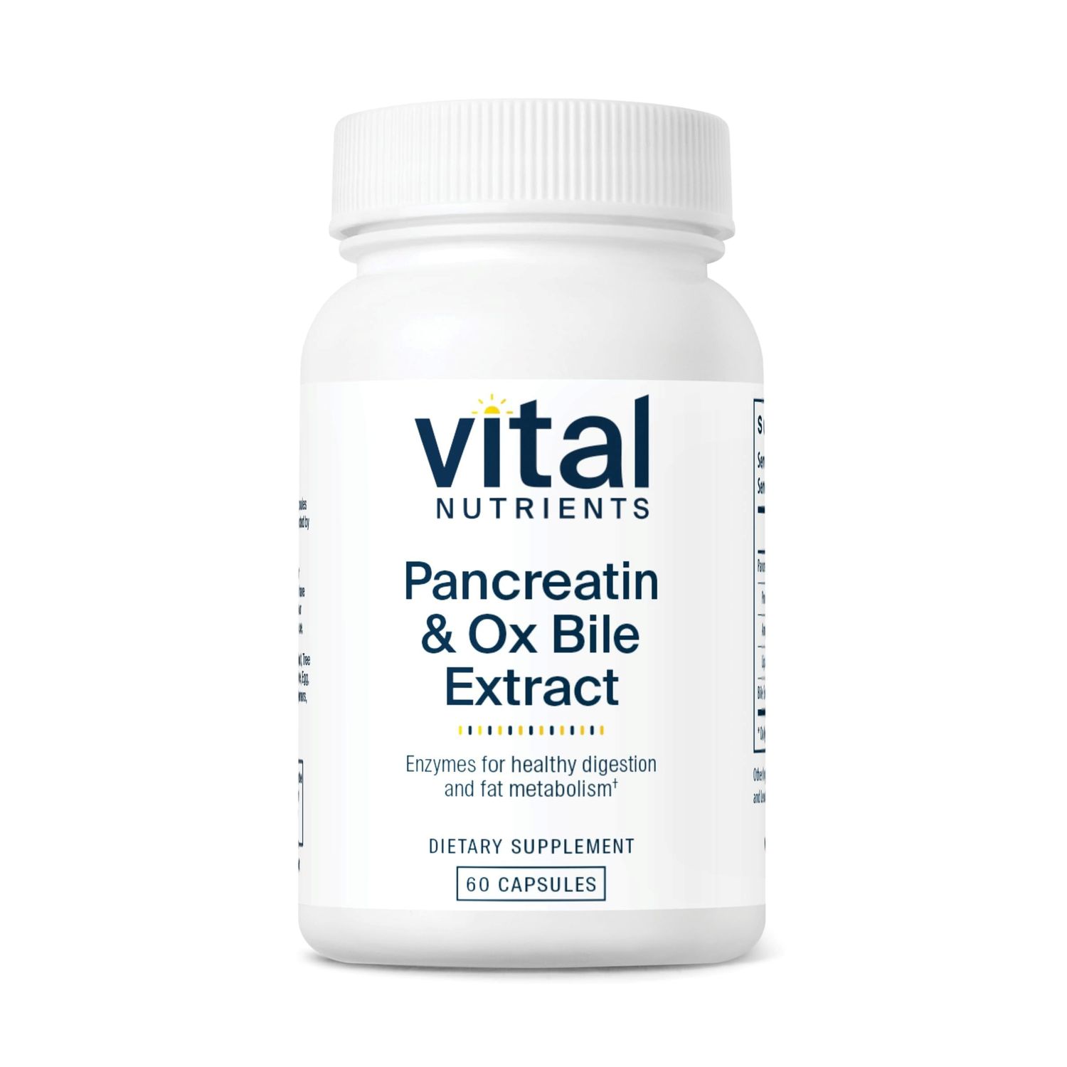Vital Nutrients Pancreatin Ox Bile Extract 500mg Natural Digestive Enzymes for Women Men Supports Digestion of Protein, Fat, and Carbohydrates Gluten, Dairy Soy Free 60 Capsules