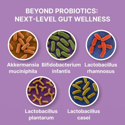 Chewable Akkermansia Probiotic and Prebiotic Supplement NOVO 2.0 with HMO, Supports Gut and Oral Microbiome, Supplements for Digestive Health and Skin Vitality, Targeted Delivery, 30 Tablets