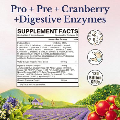 Vitalitown Women's Probiotics 120 Billion CFUs 1 Daily, 30 Strains, with Prebiotics Digestive Enzymes Cranberry, Gut Vaginal Health, Vegan 60 Delayed Release Caps