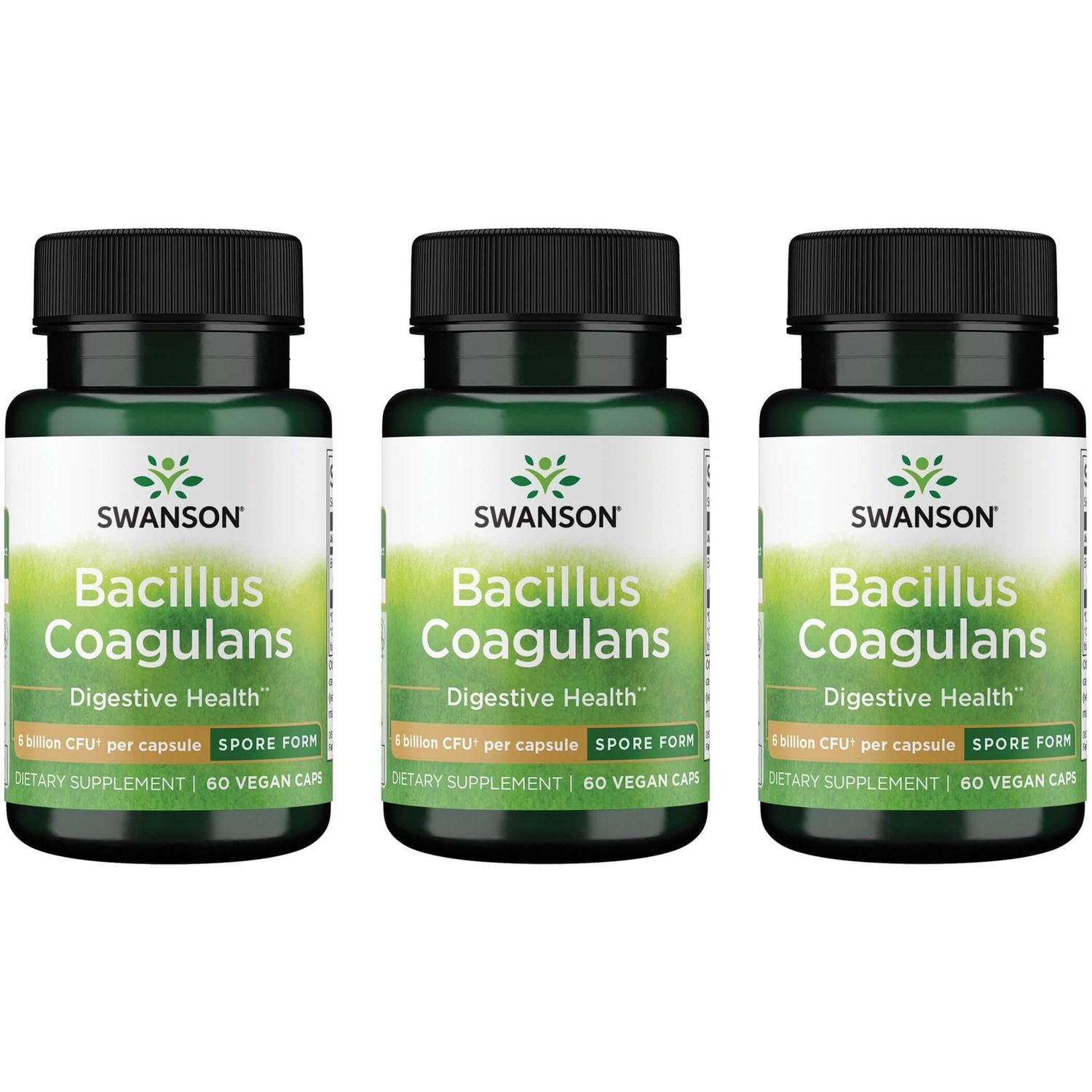 Swanson Bacillus Coagulans - Natural Probiotic Supplement Supporting Digestive Health w 6 Billion CFU - May Support GI Overall Gut Health - (60 Veggie Capsules) (3 Pack)