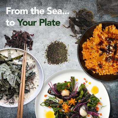 VITAMINSEA Dulse Dried Seaweed Wild North Atlantic Seaweed for Snacking, Seasoning, Soups Salads Rich in Vitamins, Minerals Antioxidants Perfect for Thyroid Support Flakes (4 OZ)