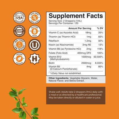 Vegan Vitamin B Complex Liquid - 9-in-1 Liquid B Complex Vitamins for Women Men with B1 B2 B3 B5 B6 B7 Folate Methyl B12 Plus Vitamin C - Super Concentrated Non GMO Naturally Flavored (120svg)