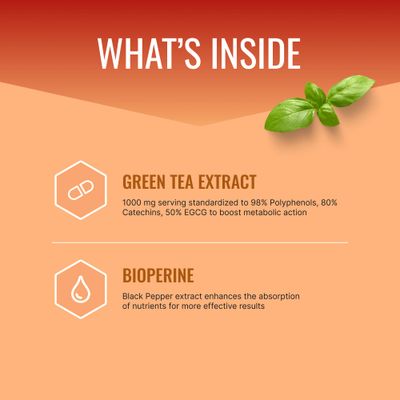 Approved Science MetaboBurn - Metabolic Support - Green Tea and BioPerine - 60 Vegan Capsules - High-Potency Extract - 50 EGCG - Non-GMO, Soy-Free, Allergen-Free - 60 Capsules (Pack of 1)