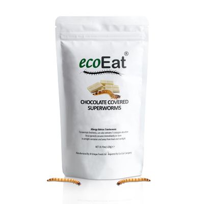 ecoEat Edible Bugs White Chocolate Covered Superworms, 20g, Snack Food Gifts