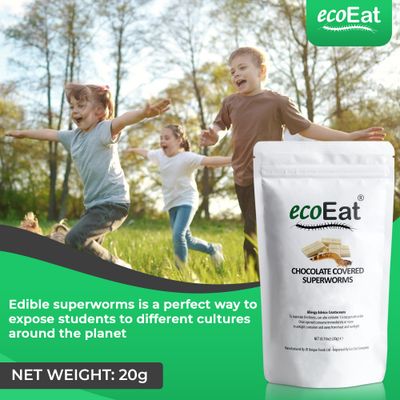 ecoEat Edible Bugs White Chocolate Covered Superworms, 20g, Snack Food Gifts