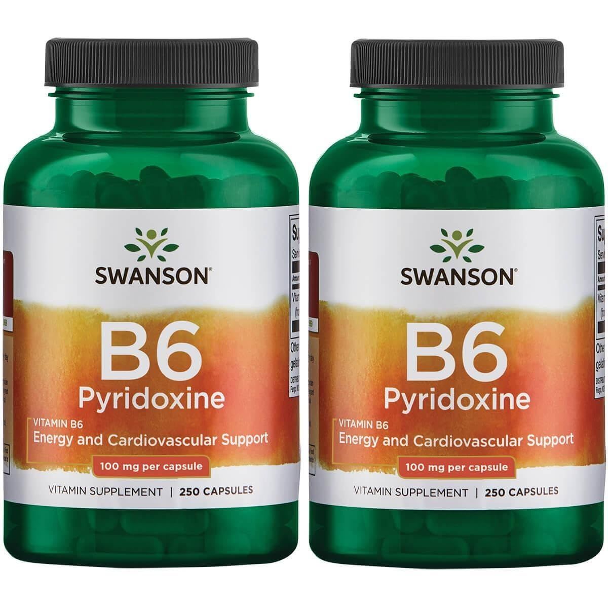 Swanson B6 Pyridoxine - Vitamin Supplement Promoting Cardiovascular Health Energy Metabolism - Natural Formula Promoting Overall Wellness - (250 Capsules, 100mg Each) (2 Pack)