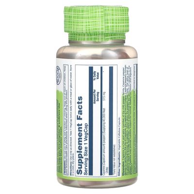SOLARAY Cayenne Pepper 515 mg 40,000 Heat Unit Healthy Digestion, Circulation, Metabolism Cardiovascular Support Non-GMO 100 VegCaps