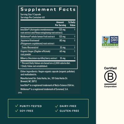 Gaia Herbs Metabolic Activator - Natural Energy Supplement for Metabolism Support - Made with Panax Notoginseng Astragalus Extract - Free from Dairy, Soy Gluten - 60 Capsules (60 Servings)