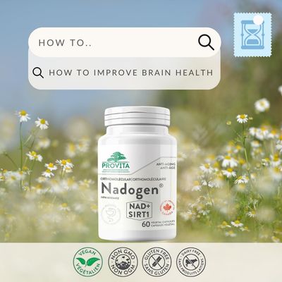 PROVITA Nadogen - Boost NAD Levels, Support Cellular Energy Metabolism Combat Aging (60 Capsules)