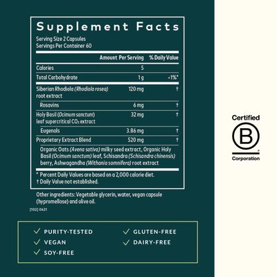 Gaia Herbs Adrenal Health Daily Support - with Ashwagandha, Holy Basil Schisandra - Herbal Supplement to Help Maintain Healthy Energy Stress Levels - 120 Vegan Liquid Phyto-Capsules (120 Count)