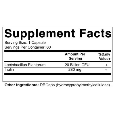Vitamatic Lactobacillus Plantarum - 20 Billion per DR Capsule - 60 Count - Digestive Support - Made with Prebiotic Inulin Fiber