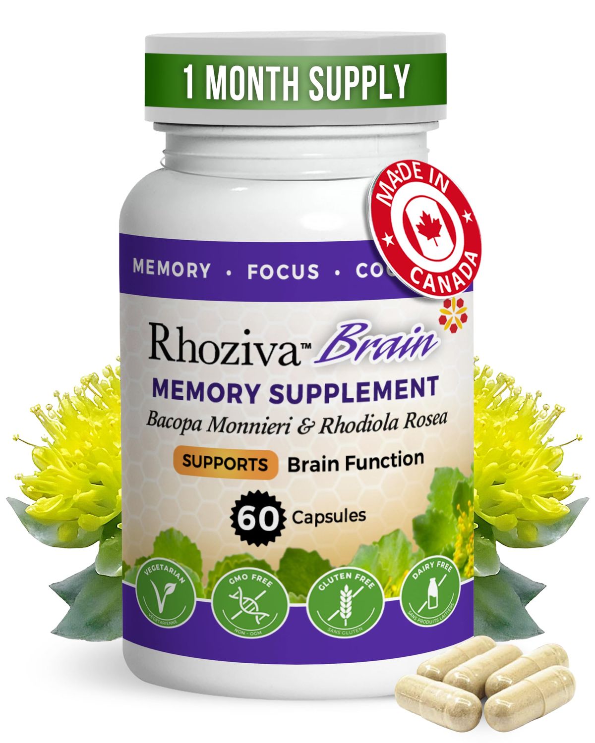 Brain Supplement - Memory and Focus, Rhodiola Rosea, Cognitive Health, Concentration, Mental Clarity, with Bacopa Monnieri, Biotin, Nootropic, Vitamin Minerals - 60 Capsules