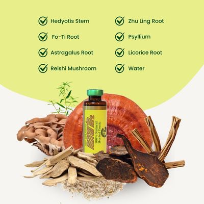 NATURIN2 Herbal Tonic Health Drink - Immune Support with Licorice, Astragalus, Hedyotis More - for Daily Wellness Energy 1 Box, 6 Vials