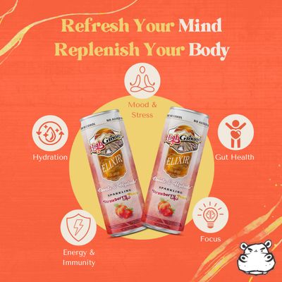 High Ground Elixir Mushroom Seltzer - Strawberry Peach Lion s Mane for Focus, Reishi for Stress, Cordyceps, Chaga, Turkey Tail, L-Theanine Adaptogen Drink Low Cal, No Added Sugar, 12oz Cans, 4 Pack
