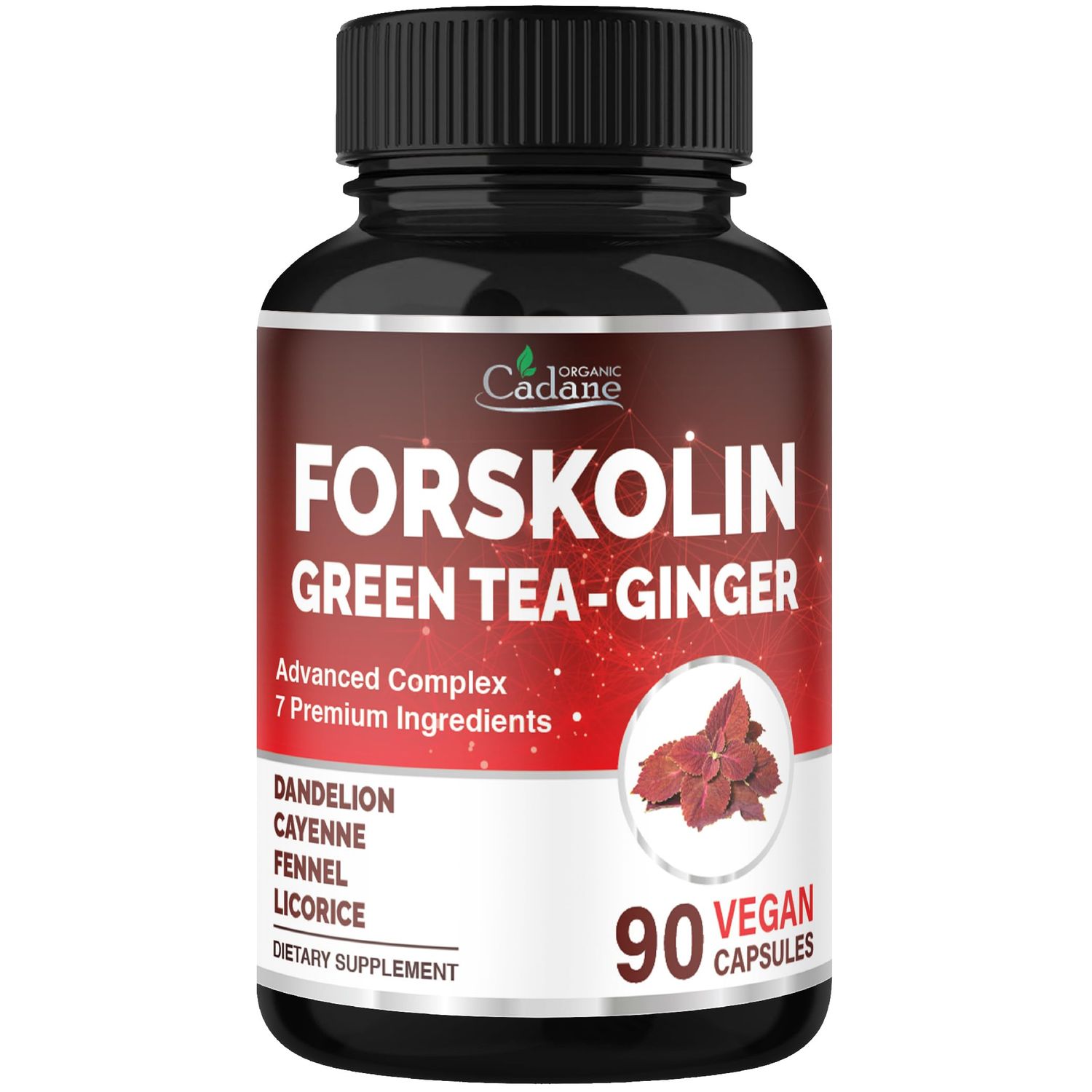 Organic Cadane Forskolin Supplement with Green Tea, Ginger, Dandelion, Cayenne, Fennel, and Licorice Body Management Energy Support Vegan, Non-GMO - 90 Capsules - 45-Day Supply