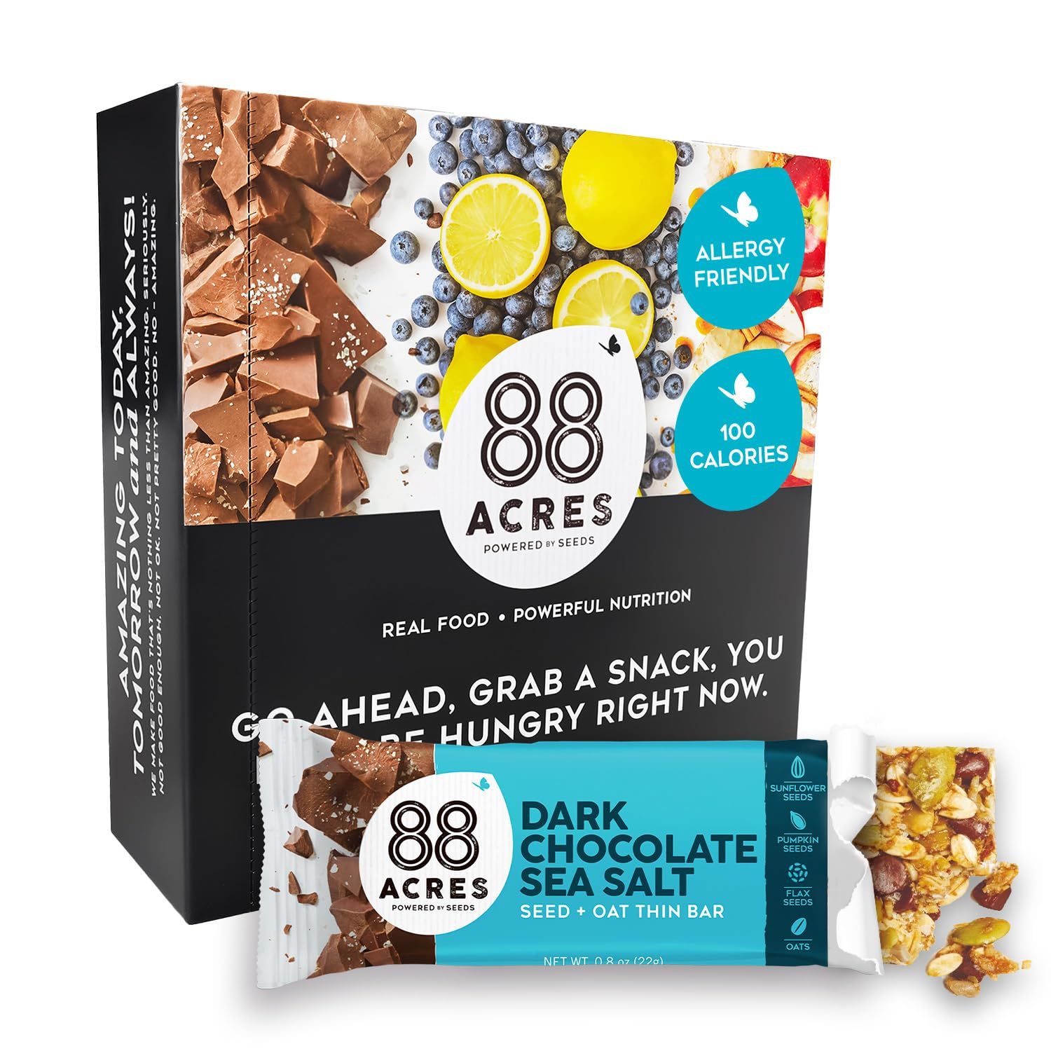 88 Acres Granola Bar Thins Dark Chocolate Sea Salt Gluten Free, Nut-Free Oat and Seed Snack Bar Vegan Non GMO 18 Pack