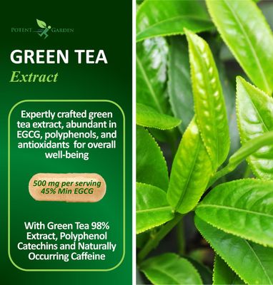 Potent Garden Green Tea Extract with EGCG Natural Energy, Mental Focus, Immune Support, Antioxidant and Healthy Heart Formula, Non-GMO 120 Green Tea Extract Capsules