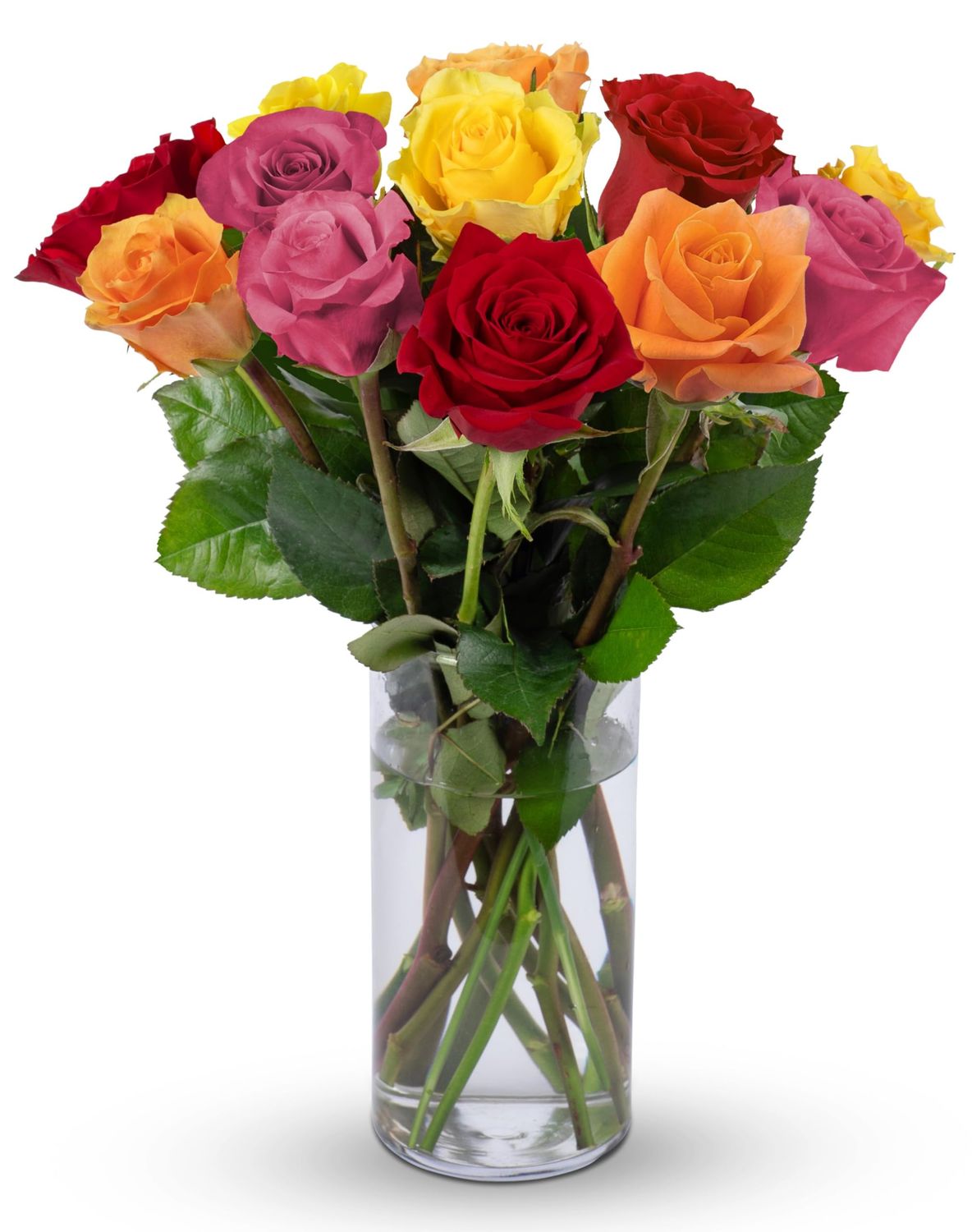 Benchmark Bouquets - 12 Stem Premium Rainbow Roses (Glass Vase Included) - Fresh Flowers for Delivery - Gift for Graduation, Birthday, Anniversary, Sympathy, Get Well, Congratulations