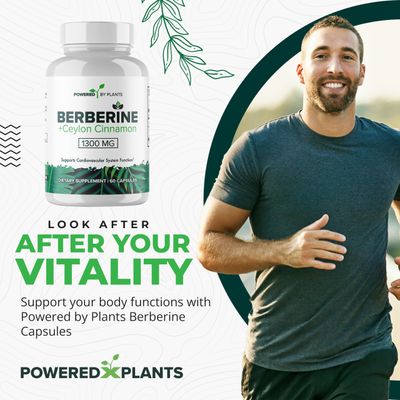 POWERED X PLANTS Pure Berberine Supplement - 1300mg Berberine with Ceylon Cinnamon for Metabolism Immune System Support - 60 Servings