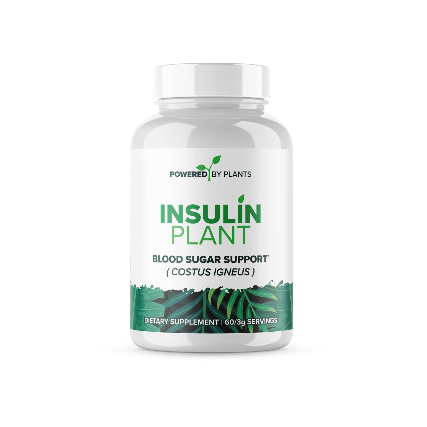 Research Biotech Group Insulin Plant Capsules - 3000mg Costus Igneus Leaf Powder with No Binders, Fillers Gluten - Vegan, Non GMO Supplements for Women Men by Powered X Plants, 240 Capsules