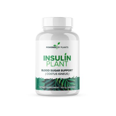 Research Biotech Group Insulin Plant Capsules - 3000mg Costus Igneus Leaf Powder with No Binders, Fillers Gluten - Vegan, Non GMO Supplements for Women Men by Powered X Plants, 240 Capsules