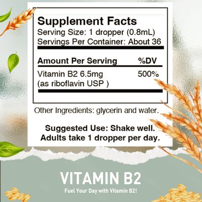 HoneyCombs Vitamin B2 Riboflavin Supplement Liquid Drops - High Potency Vitamin B2 for Men Women - Maintain Healthy Digestion, Nervous System, Hair, Skin, Nails - Vegan Liquid Vitamins (1 Fl oz)