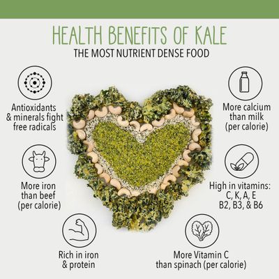 Earthy Krunchy Snacks Kale Chips - Cheezy Lemon Garlic Flavor - High Protein Snack - Crunchy Kale with No Sugar or Preservatives - Dehydrated Cheesy Kale Chips - Gluten-Free Garlic Kale Chips - Vegan