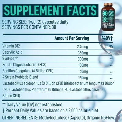Vegan Probiotic Plus B12-22 Billion CFU Synbiotics Prebiotics and Probiotics for Digestive Health, IBS, Mood Support - B12 with FOS Pre Pro Post Biotics for Women Men - 60 Gluten-Free Capsules