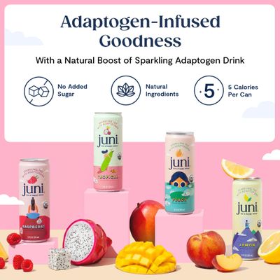 Juni Sparkling Adaptogen Drink with Ashwagandha, Lion s Mane Reishi Mushrooms Green Tea for Focus, Zero Sugar, 5 Calories, Organic Non Alcoholic Drinks - Lemon 12 pack