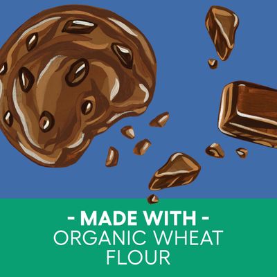 Newman's Own Family Recipe Cookies - Double Chocolate Chip Kosher Made with Organic Unbleached Wheat Flour Organic Sugar No High Fructose Corn Syrup No Artificial Flavors 7 oz (Pack of 6)