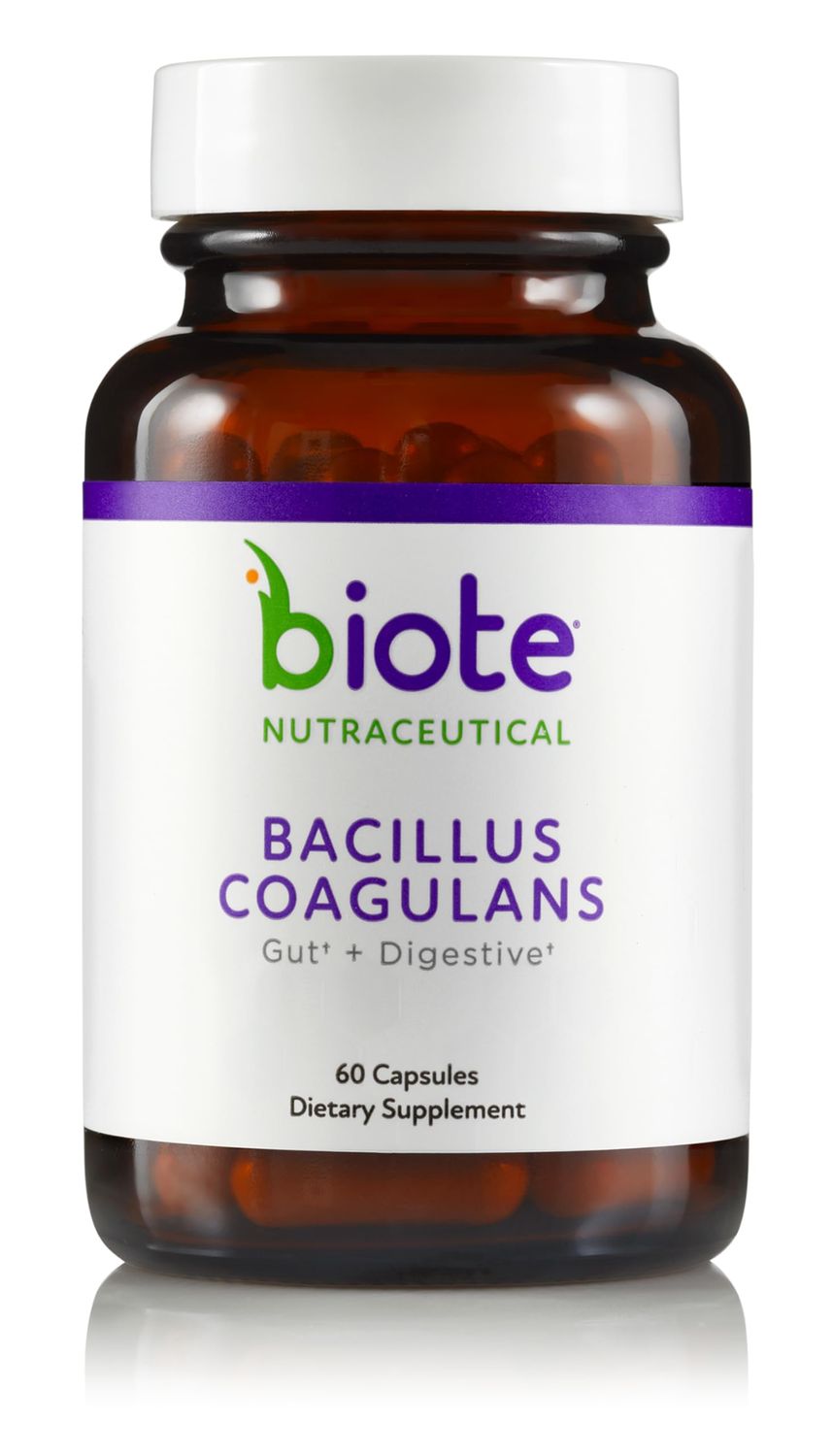 bioTE Medical - Bacillus Coagulans - Practitioner-Grade Nutraceuticals - Gut Digestive (60 Capsules)
