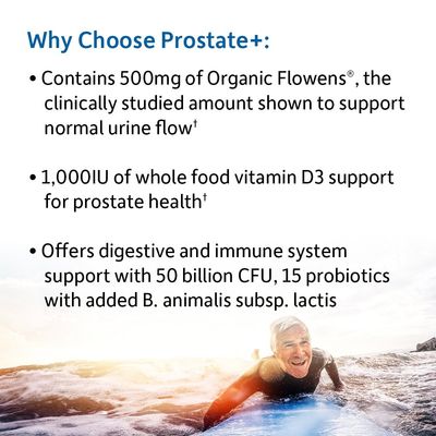 Garden of Life Dr. Formulated Probiotics Prostate - Digestive Urinary Health Support - Prostate Health Supplement with Bifidobacterium Longum Lactobacillus Acidophilus - 60 Vegetarian Capsules