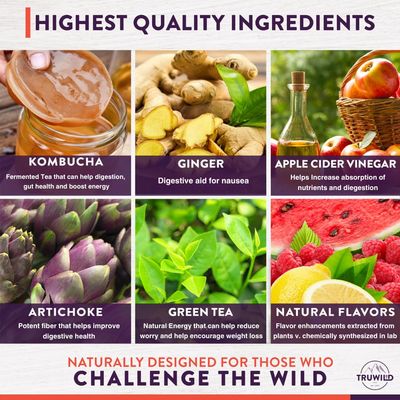 TruWild Natural Kombucha Powder Probiotic Supplement Vegan Drink Mix - Gut Health Digestive Enzymes wLive Cultures Apple Cider Vinegar Prebiotics - 20 Servings