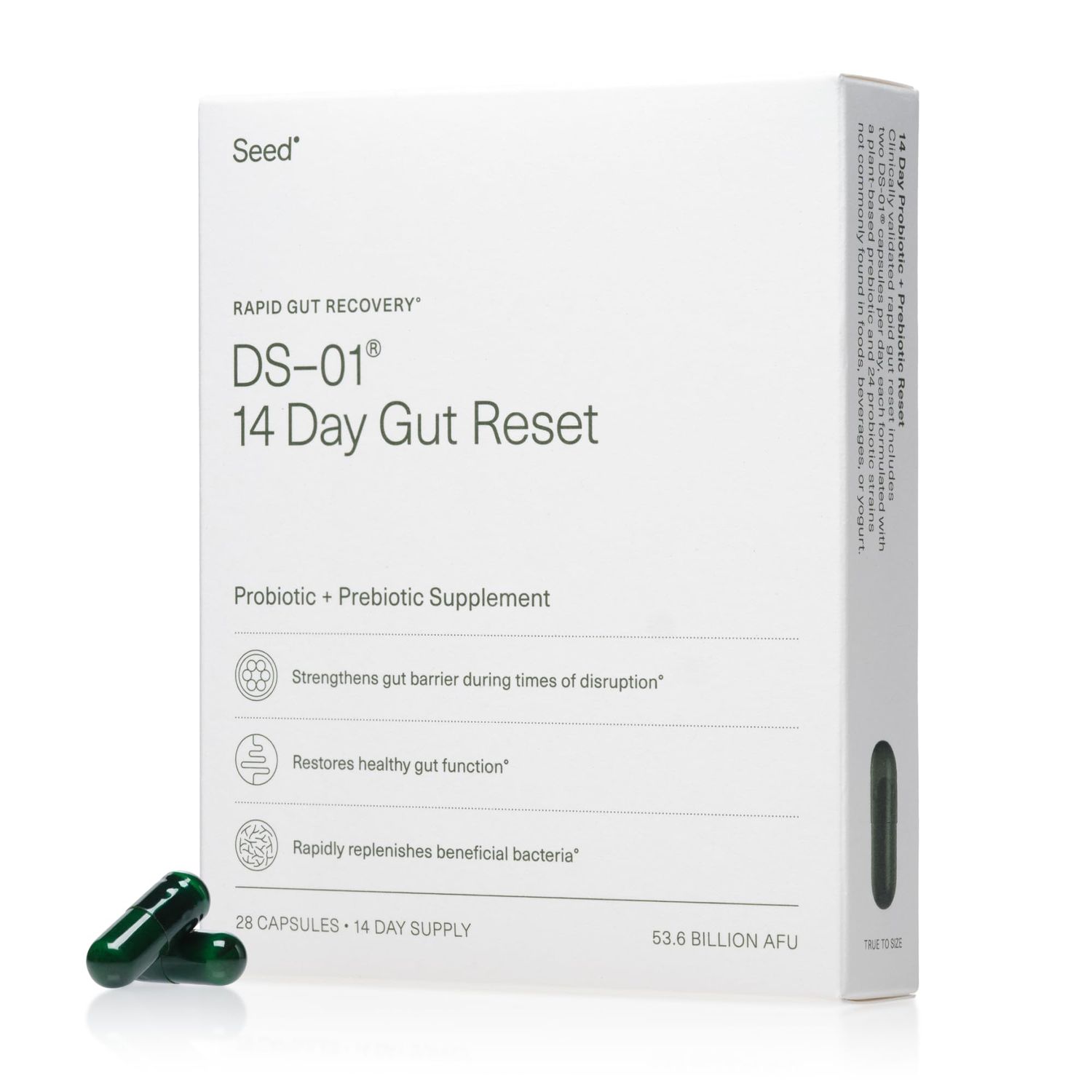 Seed 14 Day Gut Reset - Prebiotic and Probiotic for Women Men - Digestive Health, Gut Health, Rapid Gut Recovery, Bloating Constipation Relief - Vegan Shelf-Stable - 28 Capsules (14-Day Supply)