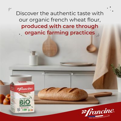 Francine Farine de Ble Bio - French All Purpose Organic Wheat Flour - 2.2 lbs (Pack of 2)